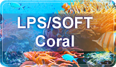 LPS/SOFT Coral