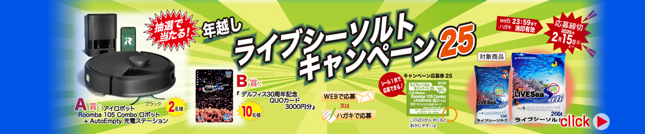 ライブシーソルトキャンペーン25