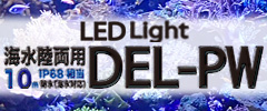 DELPHIS LED