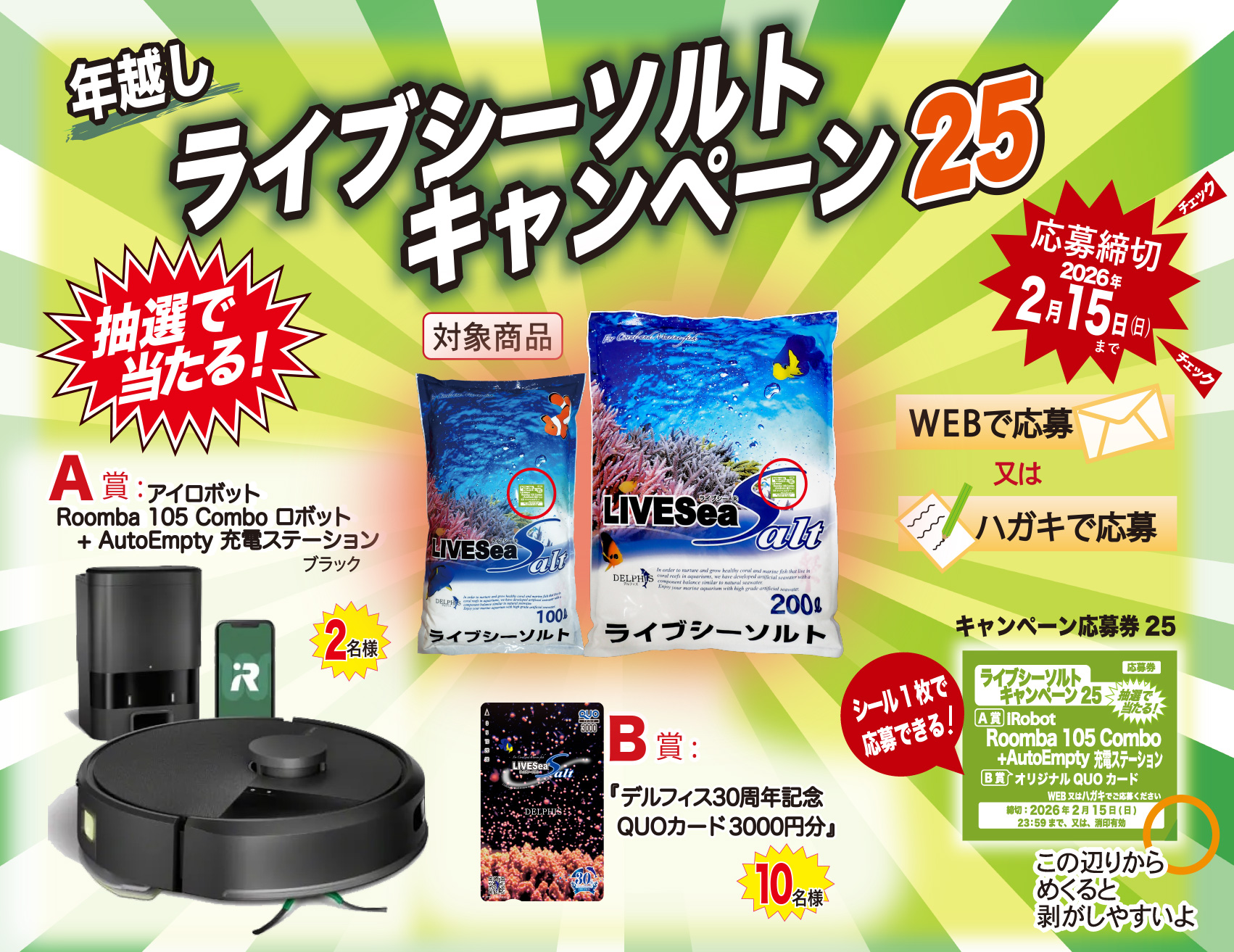 キャンペーン2411